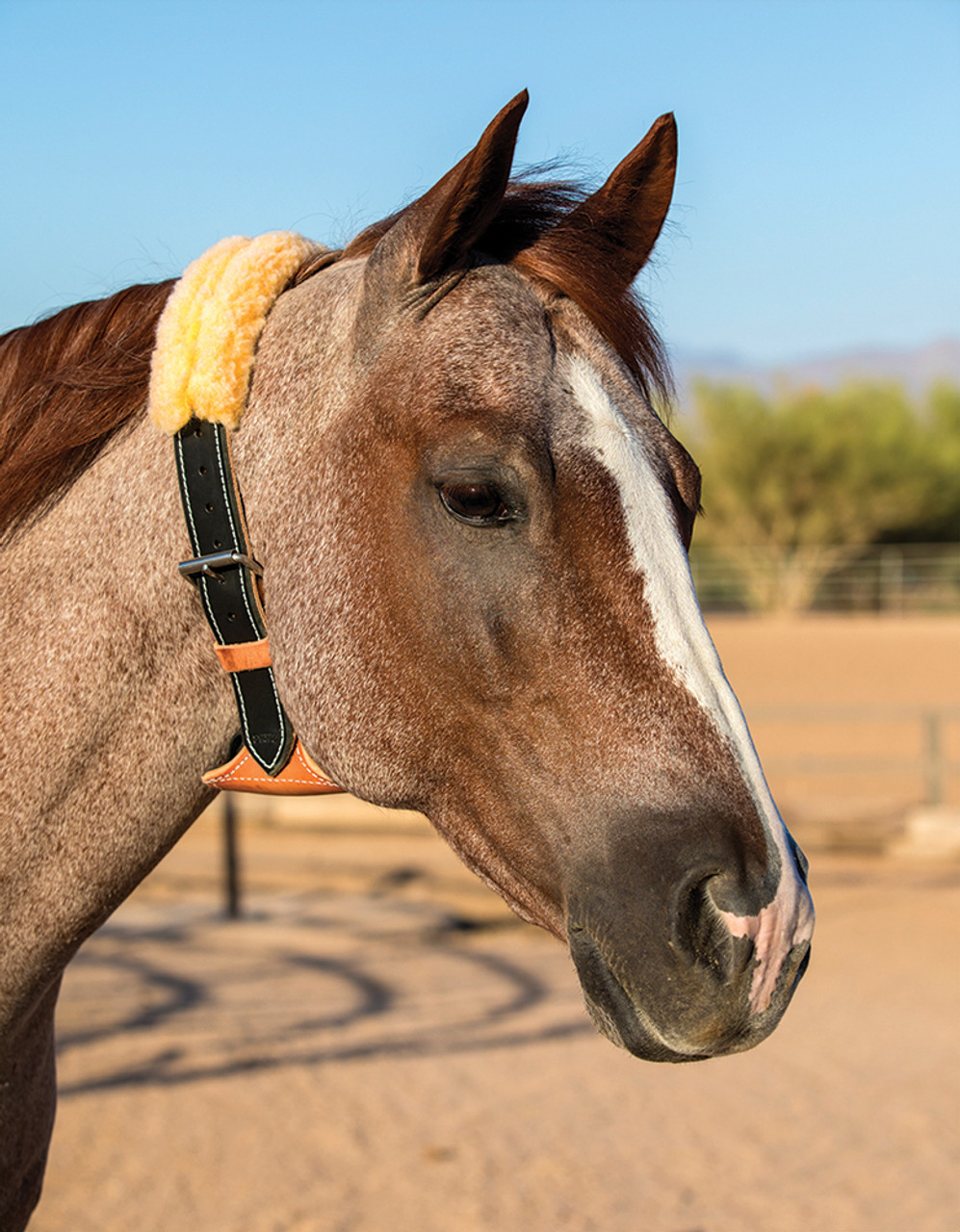Behavioral Deterrents and Horse Toys--category-image