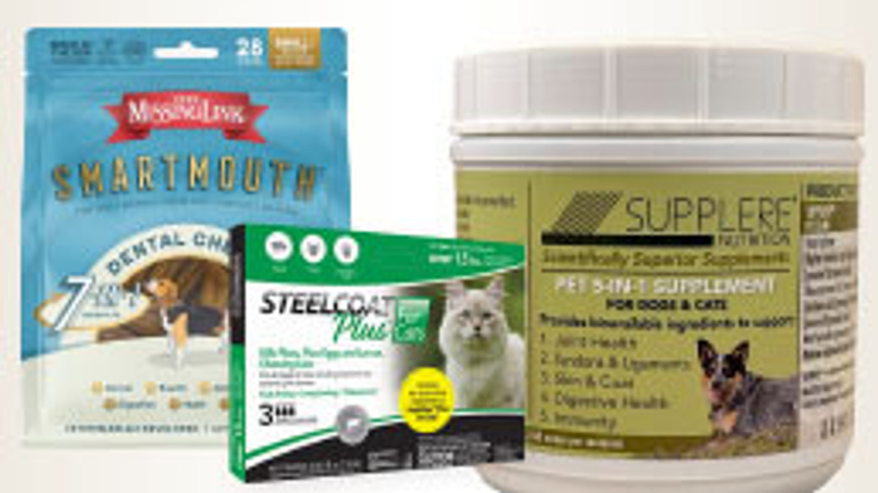 Dog and Cat Health--category-image