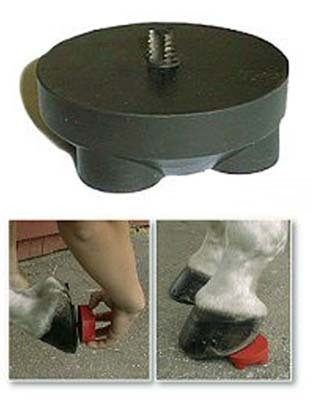 Studs and Accessories--category-image