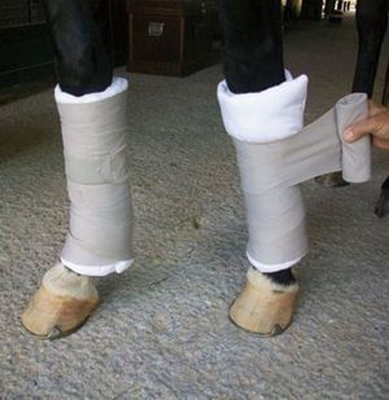 Stable Wraps and Bandages--category-image