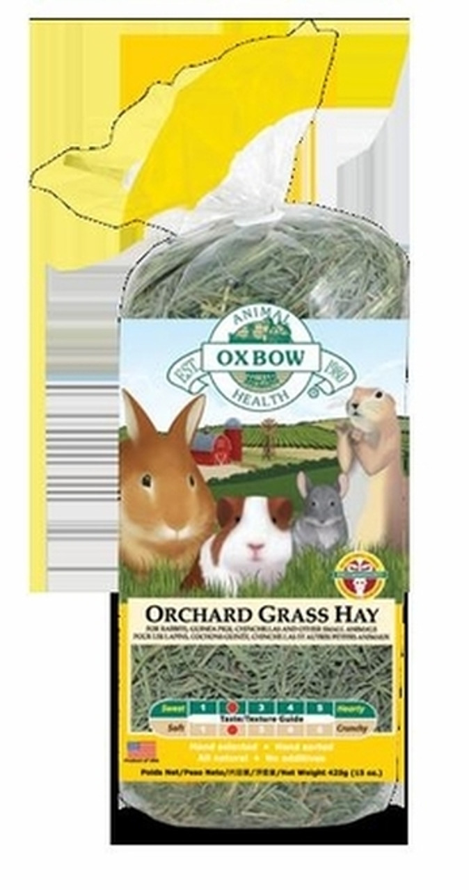 Rabbits, Guinea Pigs, and Small Animals--category-image