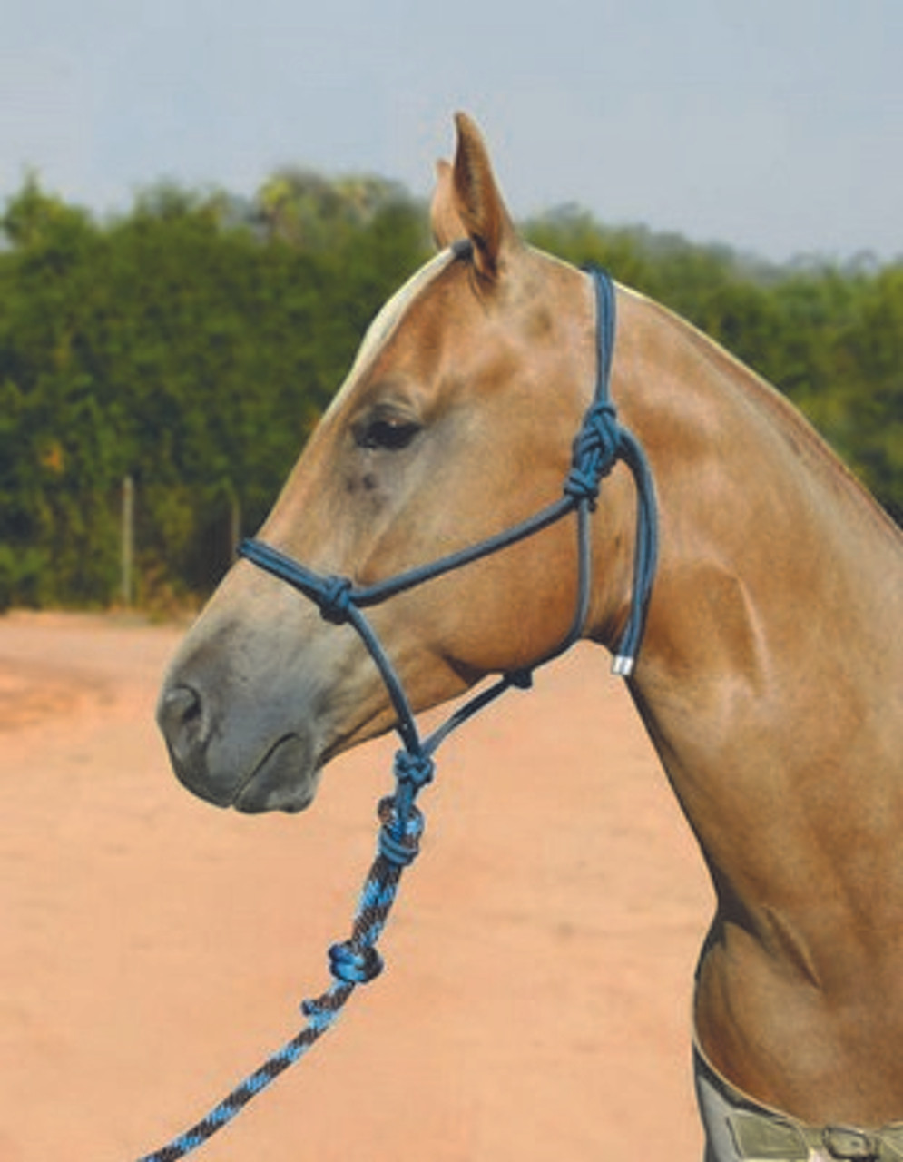 Rope Halters--category-image