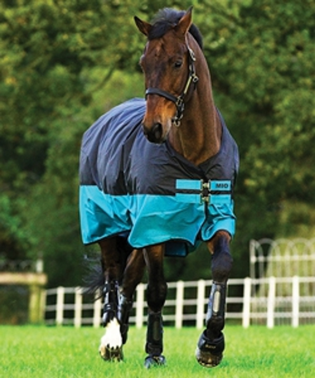 Pony Clothing--category-image
