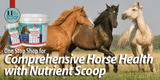 Comprehensive Horse Health with Nutrient Scoop