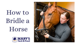 How to Bridle a Horse
