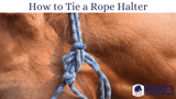 How to Tie a Rope Halter