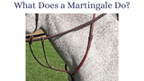 What do Tie Downs & Martingales Do for a Horse?