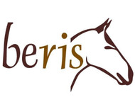 Beris Bits