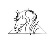Equilife-Paragon