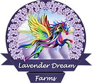 Lavender Dream Farms