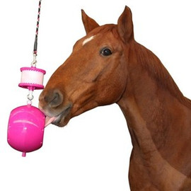 KONG Equine Hanging Toy Kit with Treat Ring