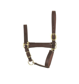 Perri's Padded Leather Halter w/ Color Trim- Horse Tack