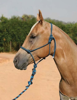 https://d3d71ba2asa5oz.cloudfront.net/12002466/images/professional-s-choice-rope-halter-with-10ft-lead-1__67619.jpg