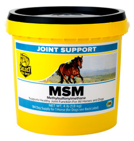 Select The Best MSM 4-lb tub