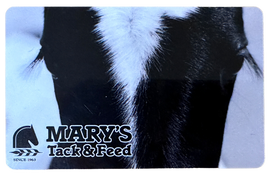 Mary's Gift Card