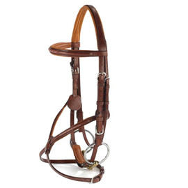 Vespucci Fancy Raised Padded Figure-8 Bridle
shown with bit, not included
