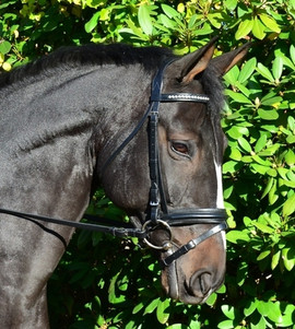 Black Oak Larkspur Snaffle Bridle