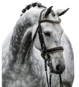 Halter Ego Thea Rolled Double Bridle closeup