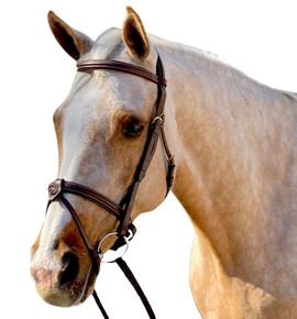 Halter Ego Remington Anatomical Jumper Bridle- Horse Tack