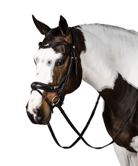 LT Connection Snaffle Bridle BLACK angle