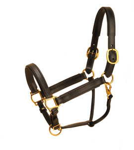 Tory Leather Black Padded Halter with Brass Hardware