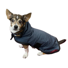 Animo Julestorm Dog Coat BLUE NAVY - On Dog