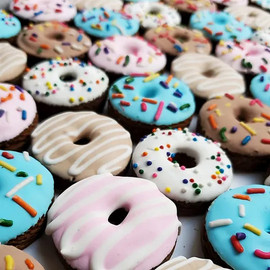 Fancy Donuts Horse Cookies