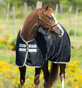 Rambo Amigo Stock Horse Rain Sheet front