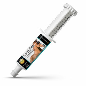 Lactalex Paste 60 cc tube