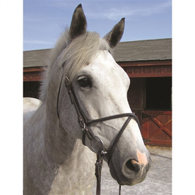 Nunn Finer Rubber Figure 8 Cavesson Noseband
