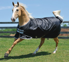 Rambo Amigo Stock Horse Turnout 200g front