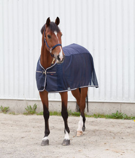 B Vertigo Kansas Mesh Cooler
front