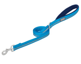 Terrain DOG Reflective Nylon Leash 1" x 6 ft BLUE