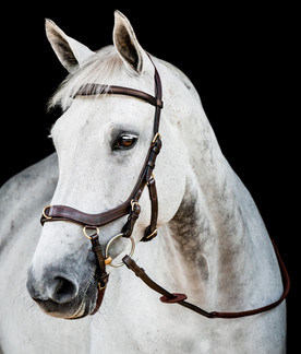 Horseware Micklem 2 Multi Bridle HAVANA