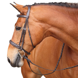 Shires Avignon Wellington Bridle HAVANA SIDE