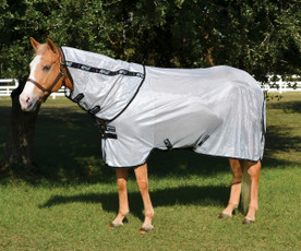 Amigo Stock Horse Fly Sheet