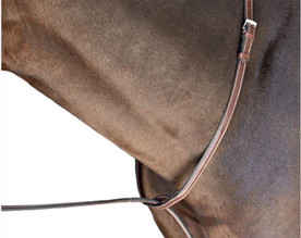 Beval Heritage Fancy Stitch Standing Martingale on horse