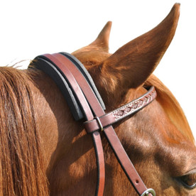 Cashel Cavesson Channel at crown