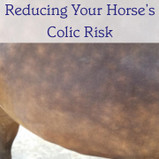 Reducing Your Horse's Colic Risk