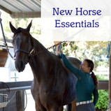 New Horse Essentials