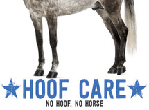 5 Easy Hoof Care Tips