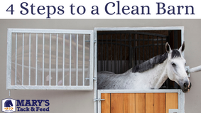 4 Steps to a Clean Barn