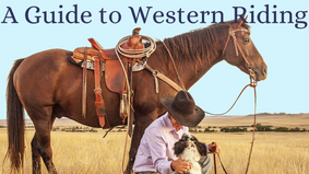 A Guide to Western Riding