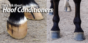 Let's Talk About Hoof Conditioners