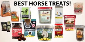 'Treat' your Horse to one of our 3 Favorite Horse Treats!