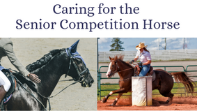 Caring for the Senior Competition Horse