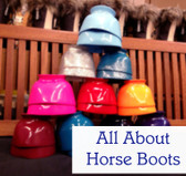 All About Horse Boots