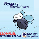 Fly Spray Showdown