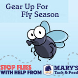 Gear Up For Fly Season