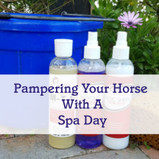 Pampering Your Horse With A Spa Day